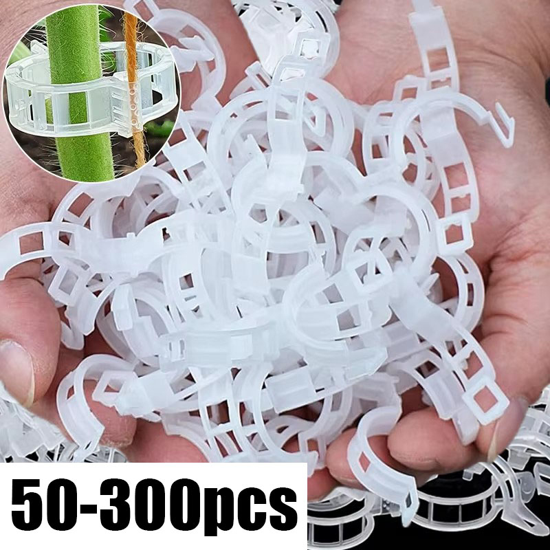 Gardening Tools For Vines - 50-300 szt. Klipsy do podtrzymywania roślin,