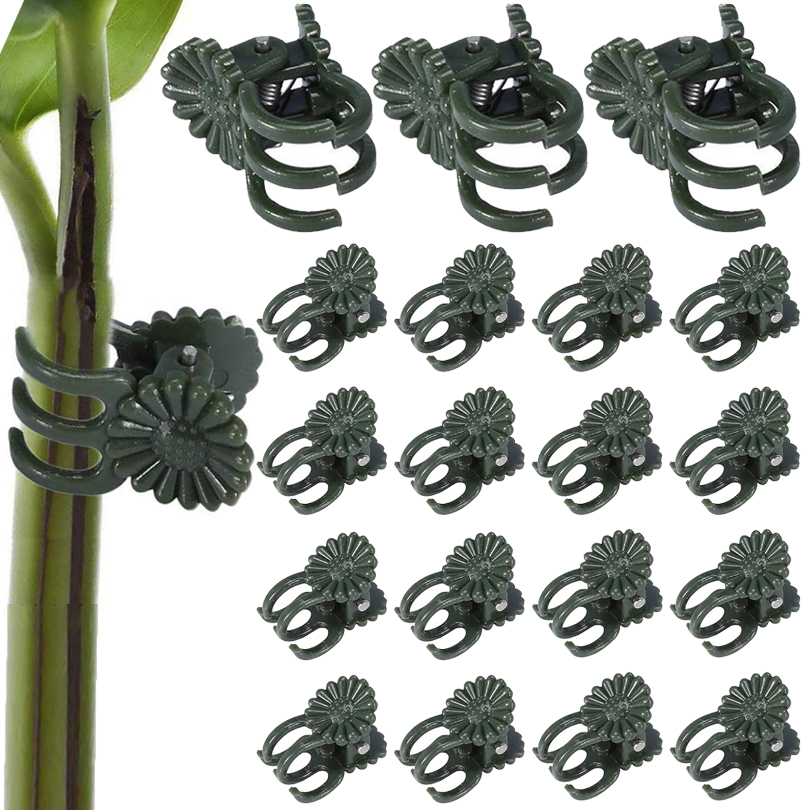 Gardening Tools For Vines - 20/50/100 szt. Zaciski do roślin z