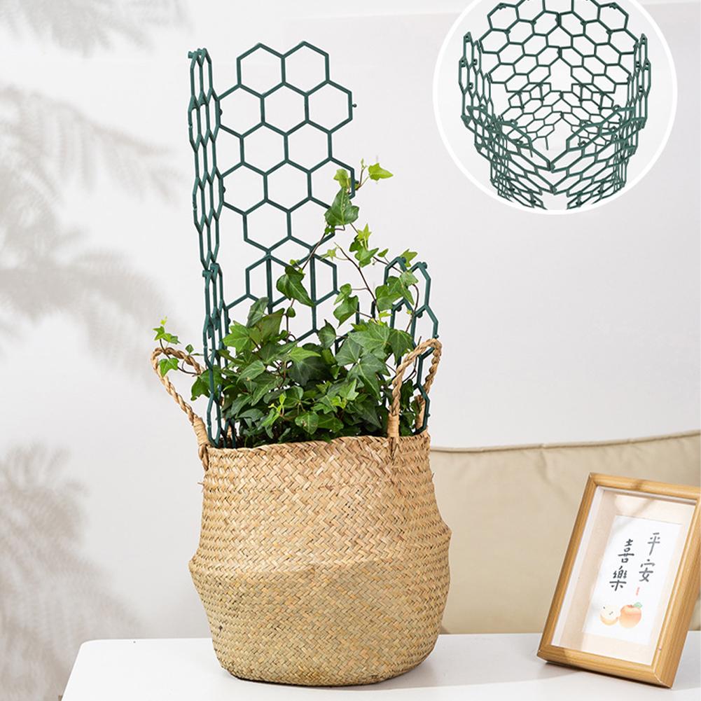 1/2/5 szt. Plastikowe podpórki – Gardening Tools For Vines recenzja i cena