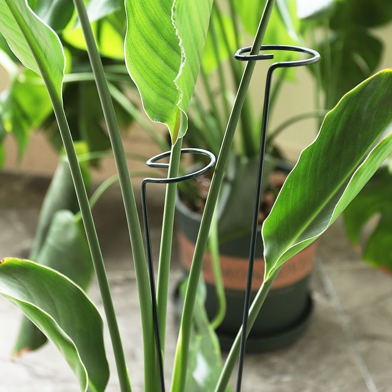 1/10 szt. Metalowy pierścień p – Gardening Tools Hoe recenzja i cena