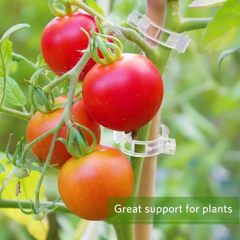 50-300 szt. Klipsy do podtrzym – Gardening Tools For Vines recenzja i cena