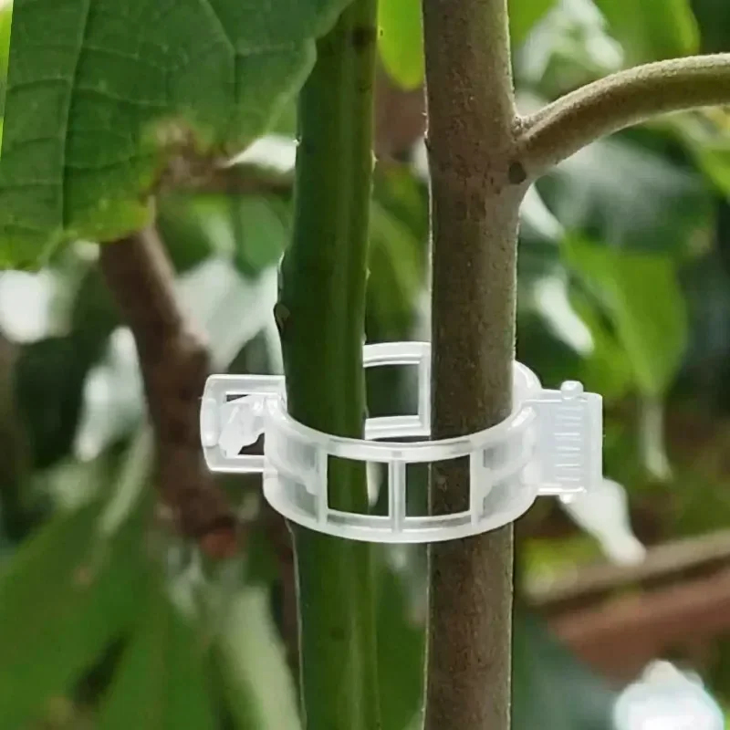 50-300 szt. Klipsy do podtrzym – Gardening Tools For Vines recenzja i cena