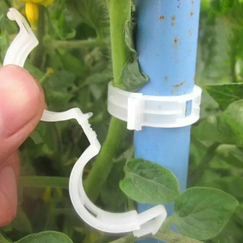 50-300 szt. Klipsy do podtrzym – Gardening Tools For Vines recenzja i cena