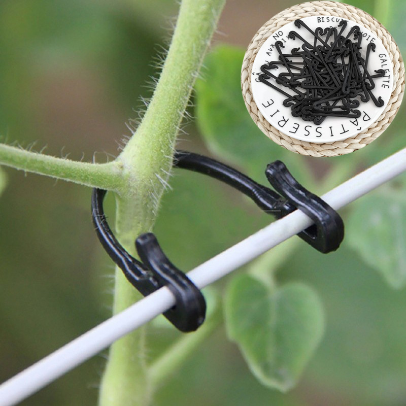 50 sztuk winorośli zapięcie wi – Gardening Tools For Vines recenzja i cena