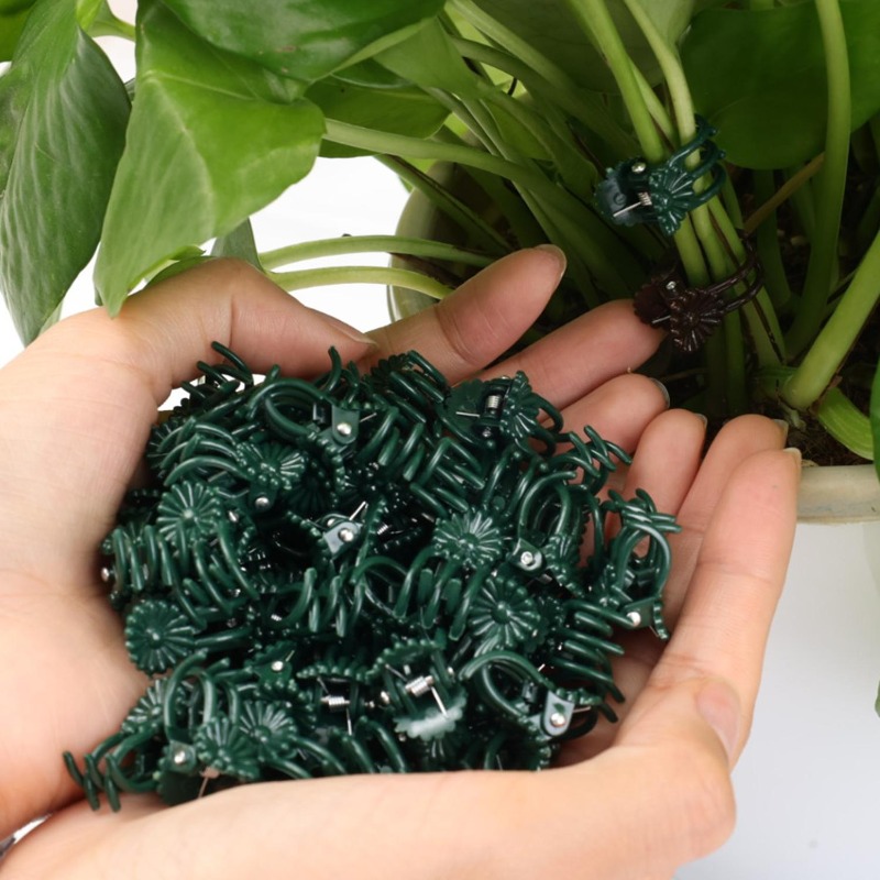 Hurtowe mini klipsy do podtrzy – Gardening Tools For Vines recenzja i cena