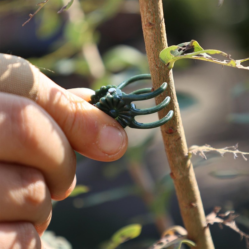 Hurtowe mini klipsy do podtrzy – Gardening Tools For Vines recenzja i cena