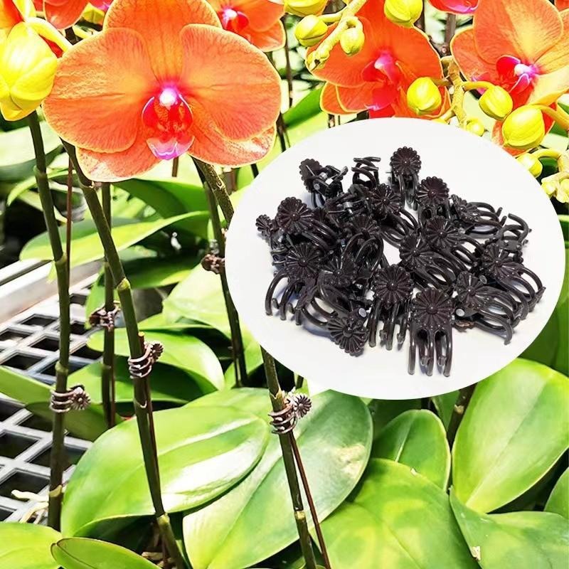 Hurtowe mini klipsy do podtrzy – Gardening Tools For Vines recenzja i cena