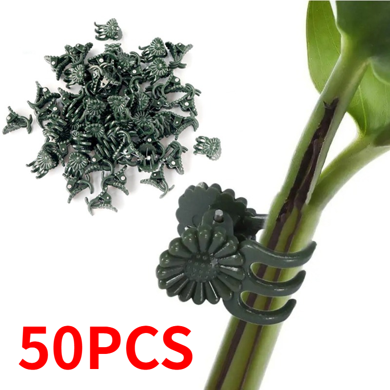 50 szt. 5-ramiennych ciemnozie – Gardening Tools For Vines recenzja i cena