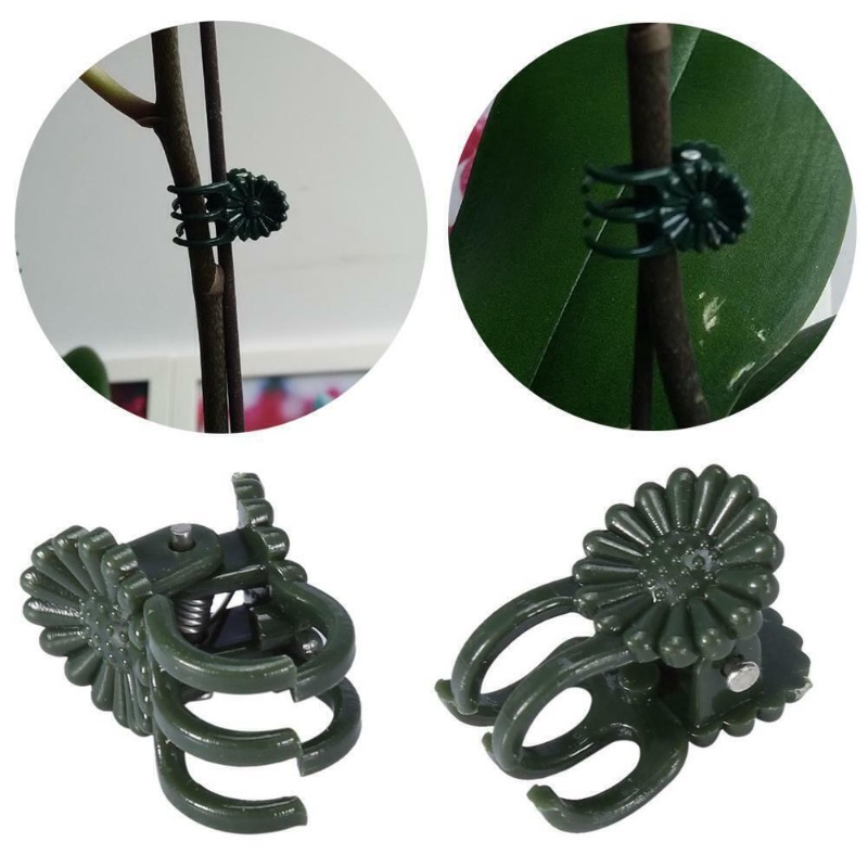 50 szt. 5-ramiennych ciemnozie – Gardening Tools For Vines recenzja i cena