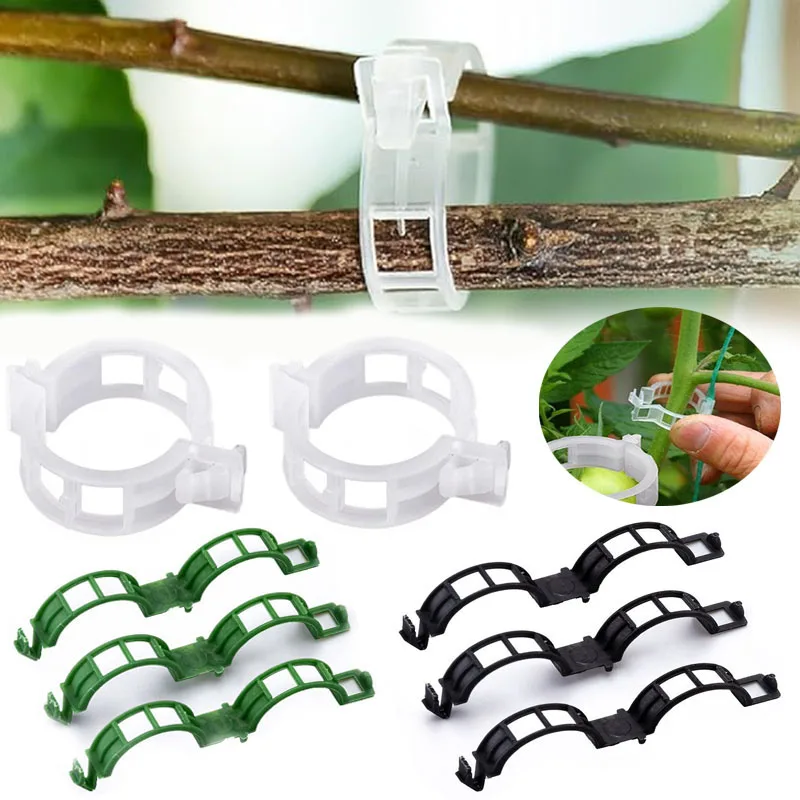 100 SZTUK Klipsy do mocowania  – Gardening Tools For Vines recenzja i cena