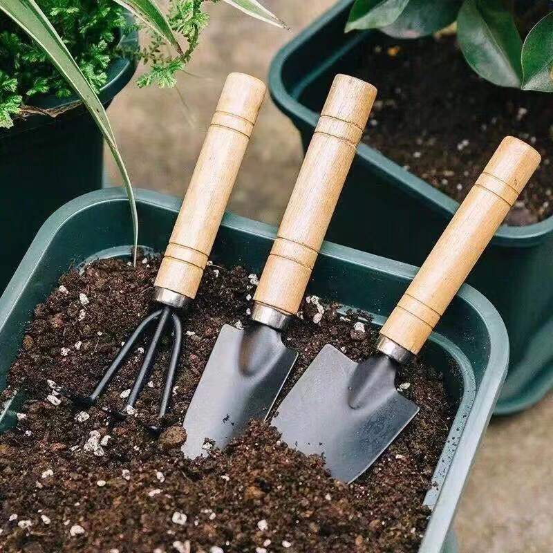 3 szt./1 zestaw Mini narzędzia – Gardening Tools Hoe recenzja i cena