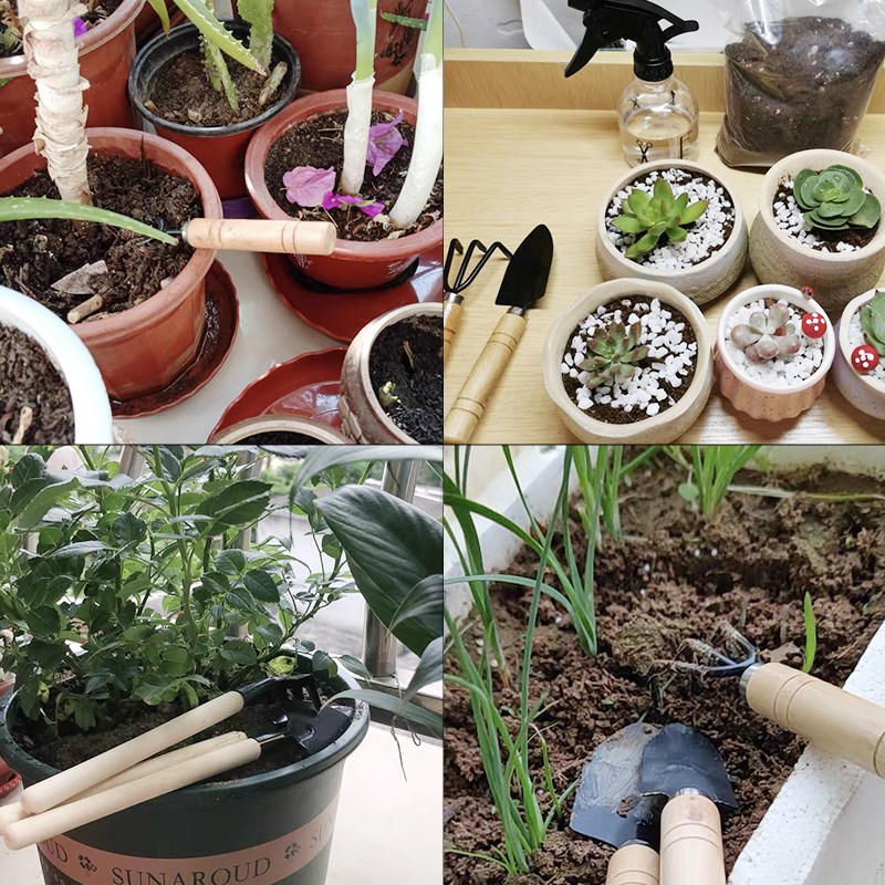 3 szt./1 zestaw Mini narzędzia – Gardening Tools Hoe recenzja i cena