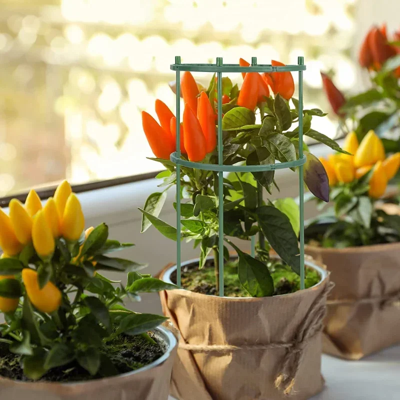 Plastikowe podpórki do roślin, – Gardening Tools Hoe recenzja i cena