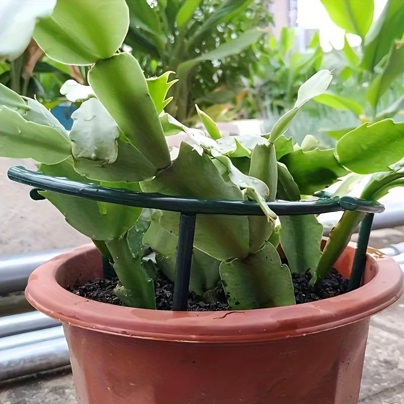 30-1 SZT. Plastikowe Podpórki  – Gardening Tools Hoe recenzja i cena