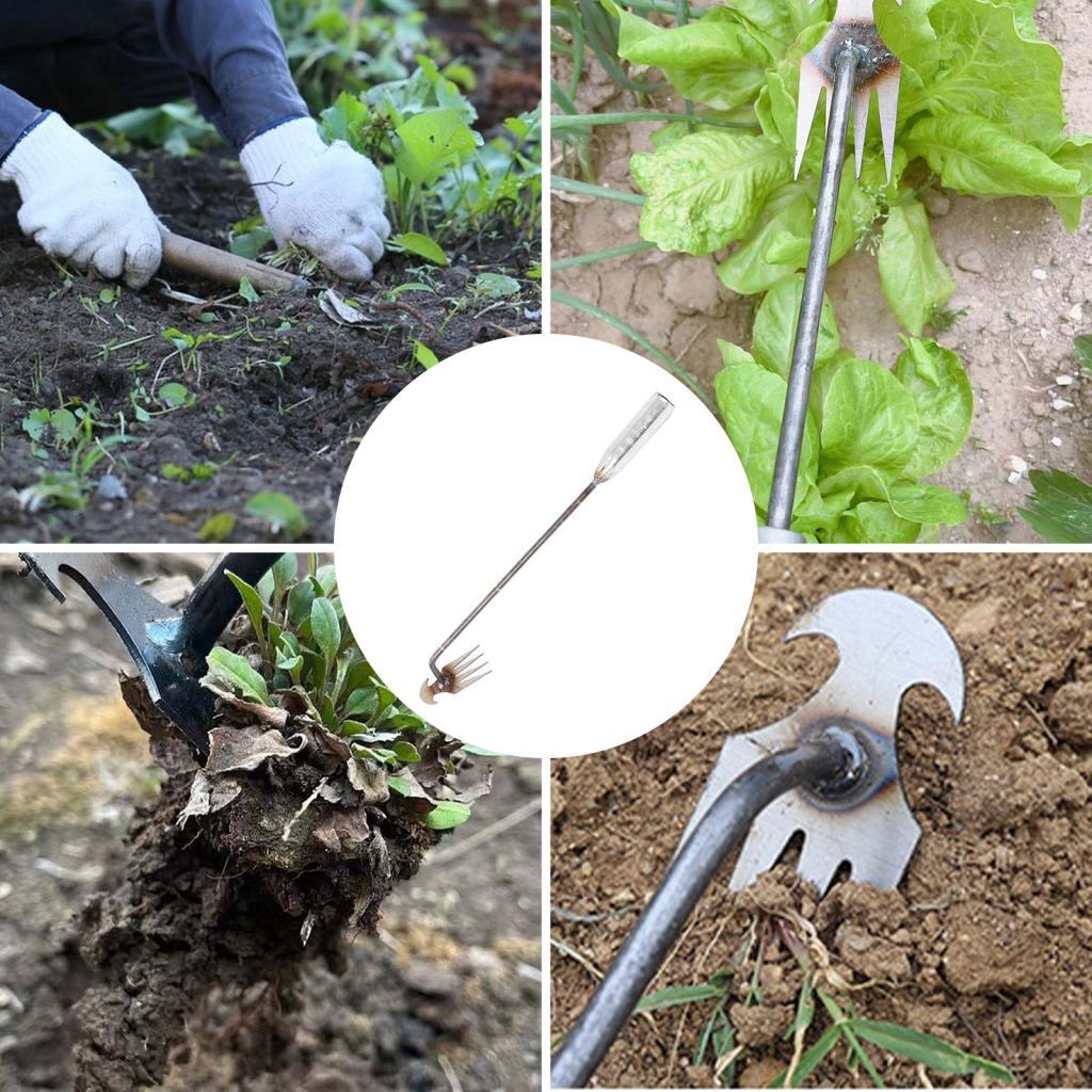 Narzędzia do pielenia ogrodu,  – Gardening Tools Hoe recenzja i cena