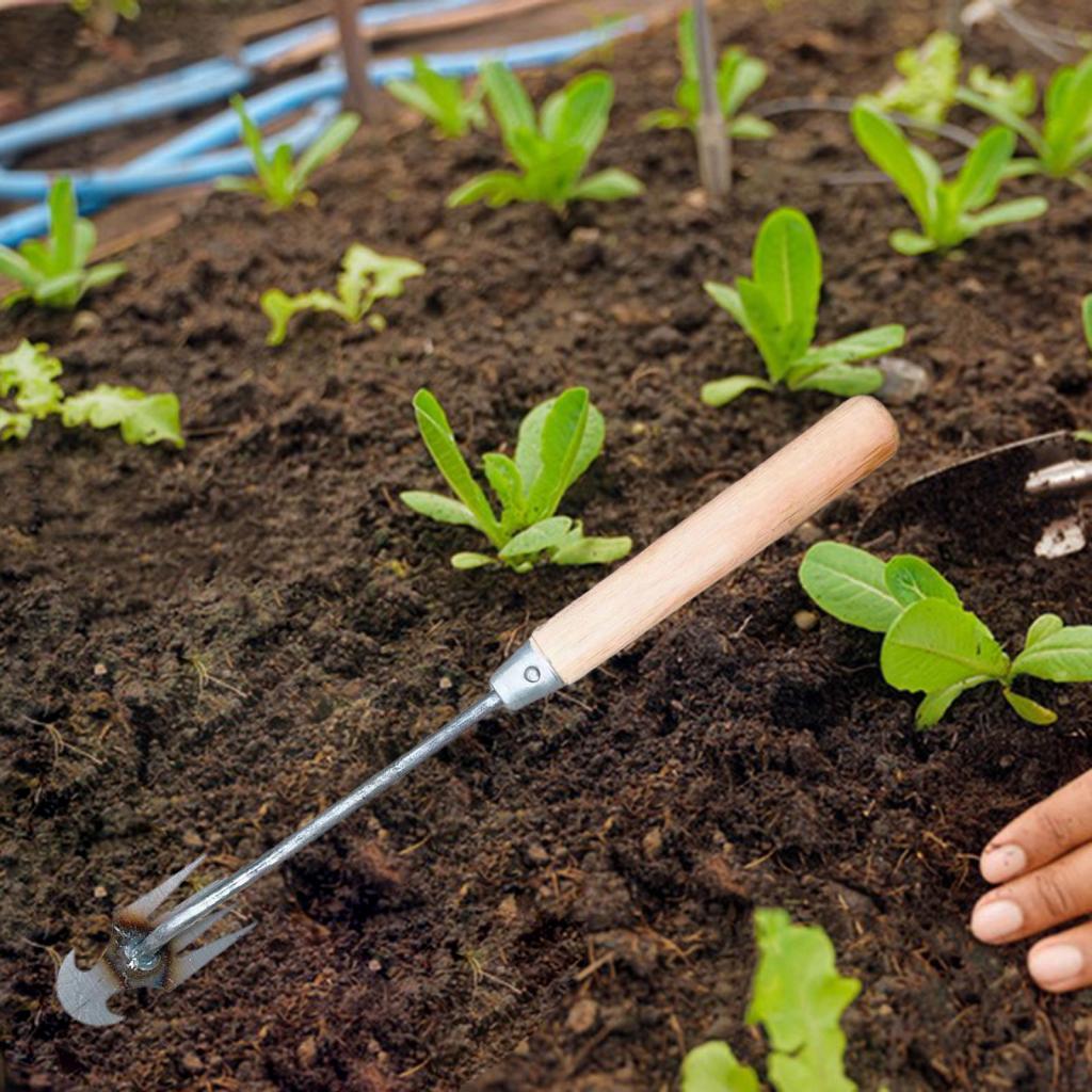 Narzędzia do pielenia ogrodu,  – Gardening Tools Hoe recenzja i cena