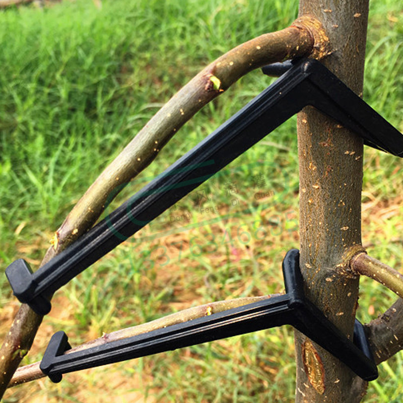 10-30 sztuk klipsy do drzew ow – Gardening Tools For Vines recenzja i cena