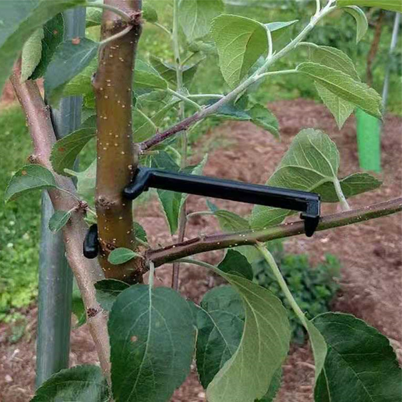 10-30 sztuk klipsy do drzew ow – Gardening Tools For Vines recenzja i cena