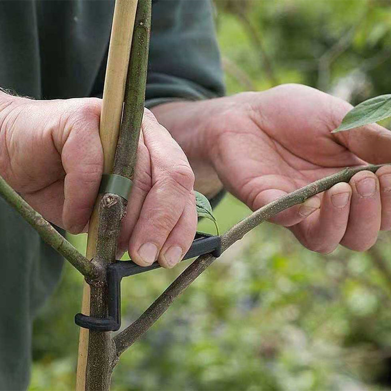 10-30 sztuk klipsy do drzew ow – Gardening Tools For Vines recenzja i cena
