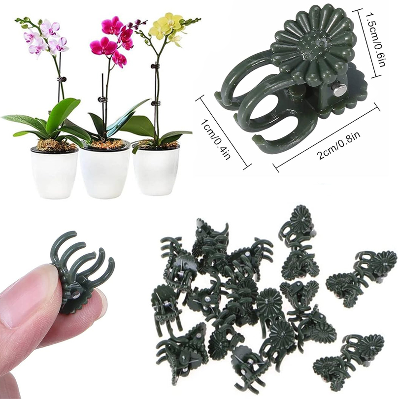 20/50/100 szt. Zaciski do rośl – Gardening Tools For Vines recenzja i cena
