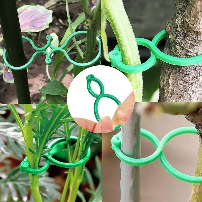 Plastikowe klipsy do wiązania  – Gardening Tools For Vines recenzja i cena