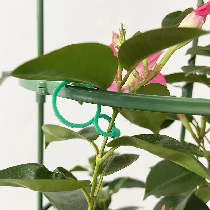 Plastikowe klipsy do wiązania  – Gardening Tools For Vines recenzja i cena